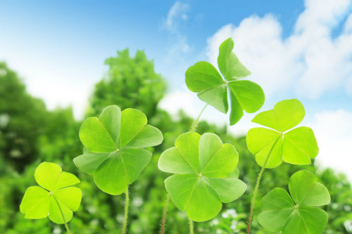 春の何回受けてもタダ授業始まる！