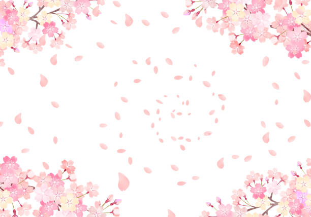 春期講習がやってくる！